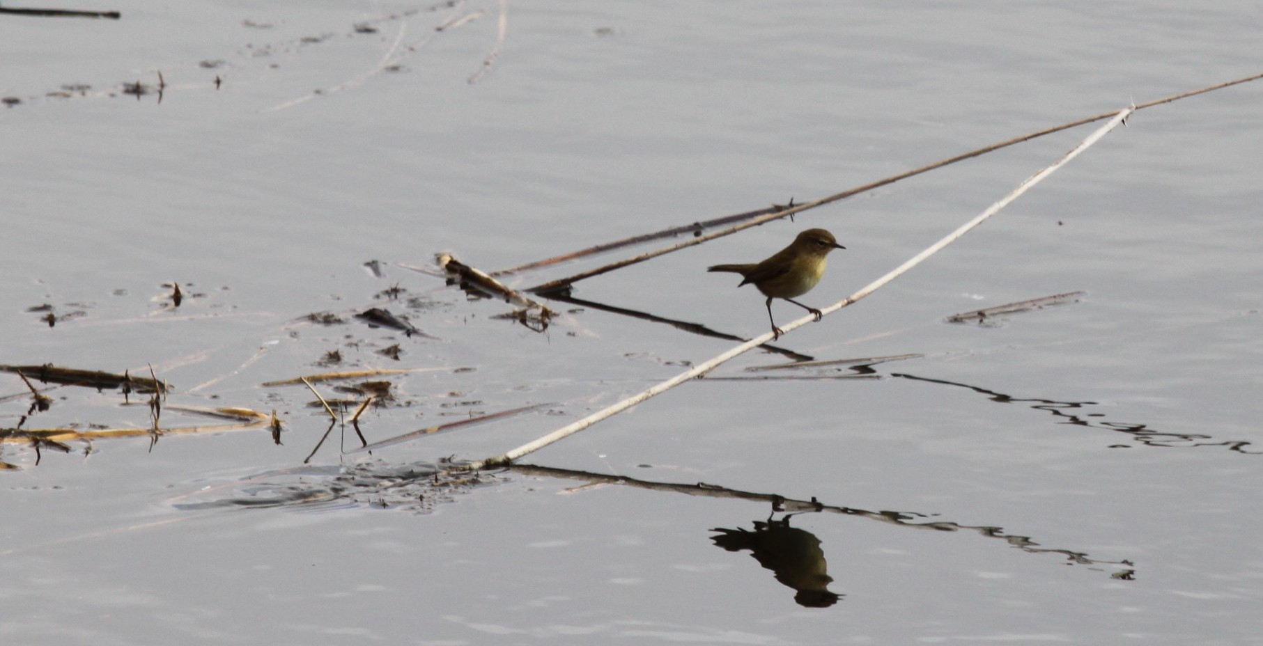 Tutti Lu� piccoli?